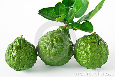 kaffir lime 